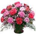 Flowers to Delhi : Send Flowers to Delhi