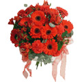 Send Flowers to Delhi : House Warming Flowers to Gurgaon : Red Carnation and Gerbera Bouquet