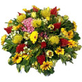 Send Flowers to Delhi : Flowers to New Delhi