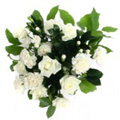 Flowers to Delhi : Flowers to Meerut