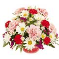 Send Flowers to Delhi, Flowers to Delhi