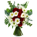 Flowers to Delhi