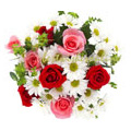 House Warming Flowers to Delhi : Flowers to Delhi : Red Pink Roses and White Gerbera Bouquet