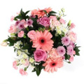 Send Flowers to Delhi : Flowers to Gurgaon