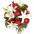 Send Flowers to Delhi : Flowers to New Delhi