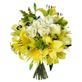 Send Flowers to Delhi, Send Flowers to Delhi