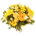 Send Flowers to Delhi : Flowers to Delhi