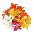 Send Valentines Day Flower to Delhi