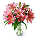 Pink Lily Flowers to Delhi : Flowers to Delhi