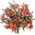 Orange Lily Flowers to Delhi : Flowers to Delhi