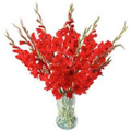 midnight flowers delivery to Delhi