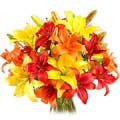 Send valentine's day flowers to Delhi