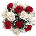 Red and White Flowers to Delhi : Flowers to Delhi