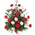 Red and White Flowers to Delhi : Flowers to Delhi