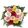 Flowers to Delhi : Mixed Roses to Delhi : Mixed Flowers to Delhi