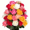 Flowers to Delhi : Mixed Roses to Delhi : Mixed Flowers to Delhi