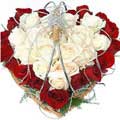 Flowers to Delhi : Christmas Flowers to Delhi