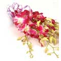 Send Flowers to Delhi