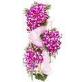 Orchid Flowers to Delhi : Send Flowers to Delhi