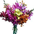 Flowers to Delhi : Send Flowers to Delhi : Mixed Orchids Bouquet