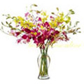 Send Flowers to Delhi : Flowers to Delhi