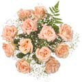 Peach Roses to Delhi : Send Flowers to Delhi