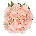 Flowers to Delhi : New Born Flowers to Delhi