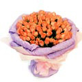Peach Roses to Delhi : Send Flowers to Delhi
