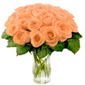 Peach Roses to Delhi : Send Flowers to Delhi