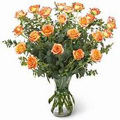 Peach Roses to Delhi : Send Flowers to Delhi