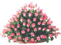 Flowers to Delhi : Pink Roses in Basket