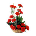 Flowers to Delhi : Send Flowers to Delhi : Red Carnation Basket