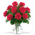 Flowers to Delhi : Send Flowers to Delhi