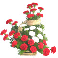 Flowers to Delhi : Send Valentines Day Flowers to Delhi