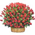 Send Flowers to Delhi : Flowers to Delhi 