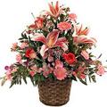 Send Flowers to Delhi : Mixed Flower Basket