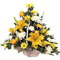 Send Flowers to Delhi : Mixed Flower Basket