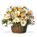 Send Flowers to Delhi : Mixed Flower Basket