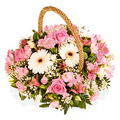 Send Flowers to Delhi : Mixed Flower Basket