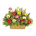 Send Flowers to Delhi : Mixed Flower Basket