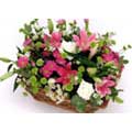 Arrangement of Flowers to Delhi