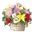 Send Basket of Mixed Flowers to Delhi