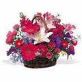 Arrangement of Flowers to Delhi