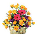 Arrangement of Flowers to Delhi