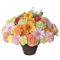 Arrangement of Flowers to Delhi