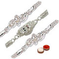 Gifts  to Delhi : Send Rakhi Gifts to Delhi
