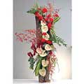Anthurium Flowers to Delhi : Send Flowers to Delhi