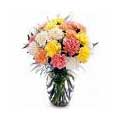 House Warming Flowers to Delhi : Send Flowers to Delhi : Mixed Carnation in a Vase