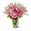 Flowers to Gurgaon : Flowers to Noida : Flowers to New Delhi