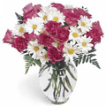 Flowers to Gurgaon : Flowers to Noida : Flowers to New Delhi